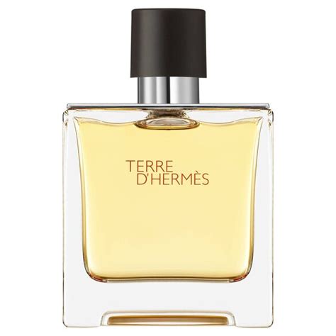 ellena hermes perfume|Hermes cologne terre d.